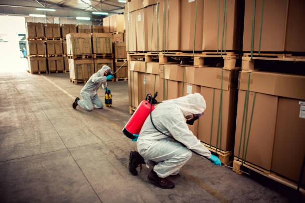 Best Commercial Pest Control Services  in Rock Rapids, IA