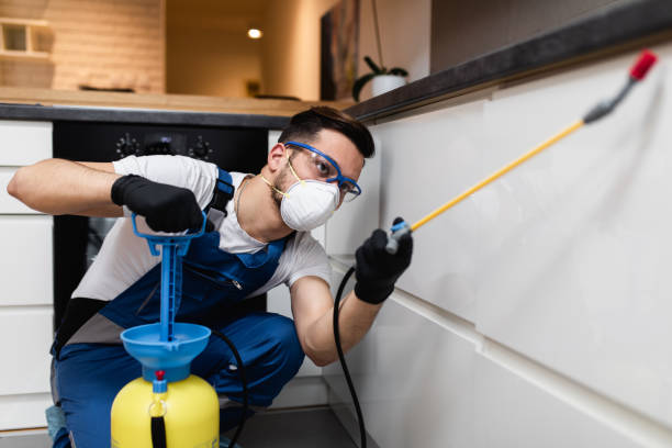 Best Rat Extermination Near Me  in Rock Rapids, IA