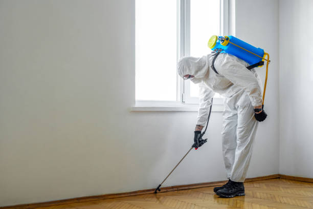 Best Pest Inspection Near Me  in Rock Rapids, IA